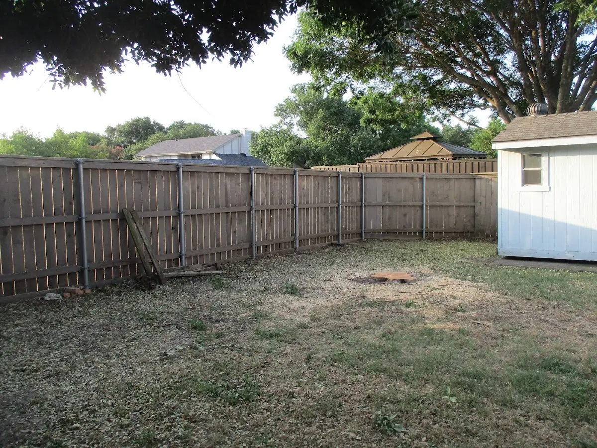 Cleared yard after professional tree removal in Orviston
